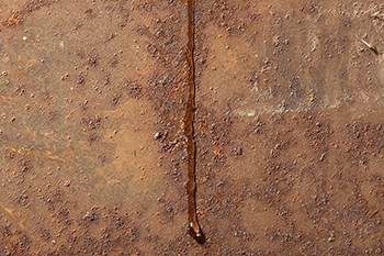 detail.jpg
